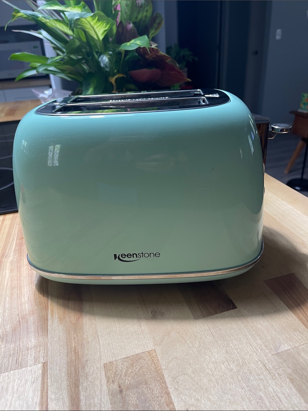 Mint Green 2-Slice Toaster — Retro-Style Countertop Toaster